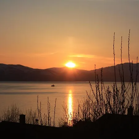 酒店 阿美酒店 3*