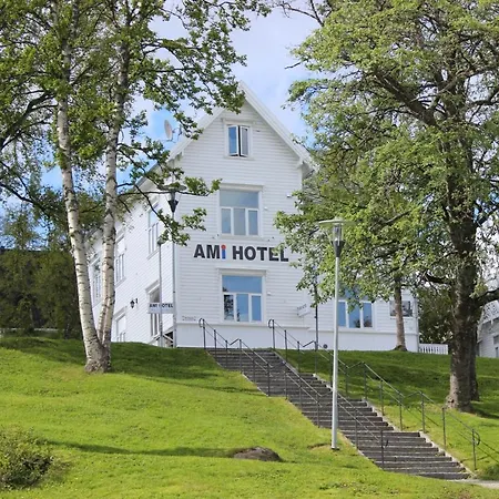 Ami 3*