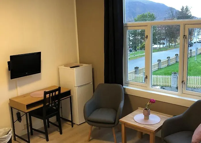 Ami Tromsø